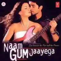 Naam Gum Jaayega 2005 cover image