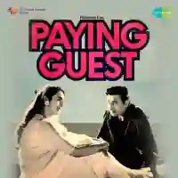 Paying Guest 1957 cover image