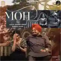 Moh - Sidhu Moose Wala 2021 cover image