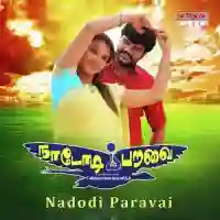 Nadodi Paravai 2014 cover image