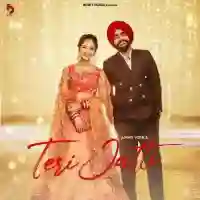 Teri Jatti - Ammy Virk 2022 cover image