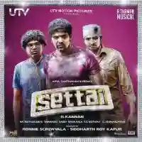 Settai 2013 cover image