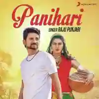 Panihari - Raju Punjabi cover image