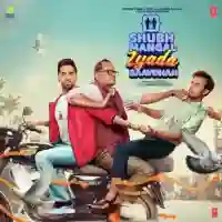 Shubh Mangal Zyada Saavdhan 2020 cover image