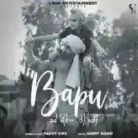 Bapu Kde Roya Hi Nahi - Pavvy Virk 2022 cover image