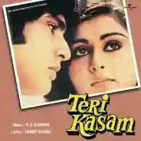 Teri Kasam 1982 cover image