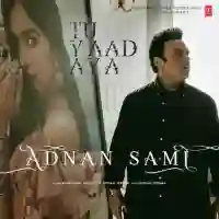 Tu Yaad Aya cover image