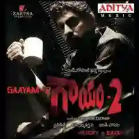 Gaayam- 2 2010 cover image