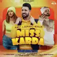 Miss Karda - Amit 2021 cover image