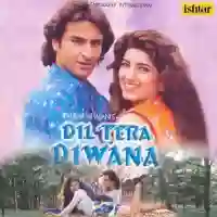 Dil Tera Diwana 1996 cover image