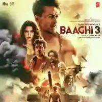 Baaghi 3 2020 cover image