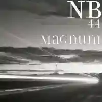 44 Magnum - NB 2022 cover image