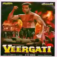 Veergati 1995 cover image