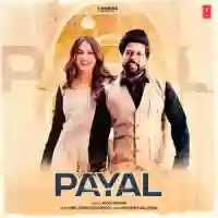 Payal - Akki Aryan 2022 cover image