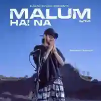 Malum Hai Na - Emiway Bantai 2021 cover image