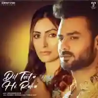 Dil Toota Hi Raha - Mohammed Irfan 2022 cover image