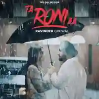 Ta Roni Aa - Ravinder Grewal 2024 cover image