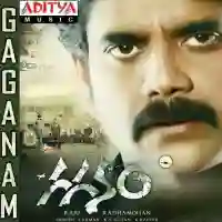 Gaganam 2011 cover image