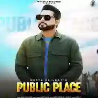 Public Place - Geeta Zaildar 2021 cover image