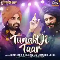 Tunakdi Taar - Birender Dhillon 2021 cover image