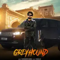 Greyhound - Surinder Baba 2024 cover image