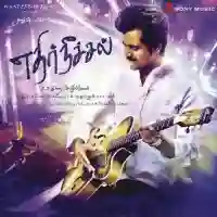 Ethir Neechal 2013 cover image