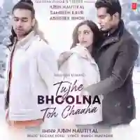 Tujhe Bhoolna Toh Chaaha - Jubin Nautiyal 2021 cover image