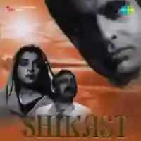 Shikast 1953 cover image