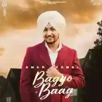 Baggo Baag - Amar Sehmbi 2022 cover image