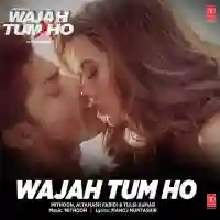 Wajah Tum Ho 2016 cover image