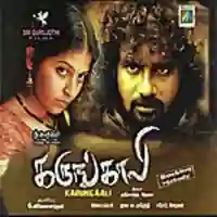 Karungaali 2011 cover image