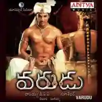 Varudu 2011 cover image