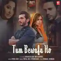 Tum Bewafa Ho - Stebin Ben 2021 cover image