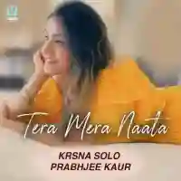 Tera Mera Naata - Krsna Solo 2021 cover image