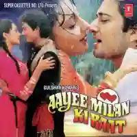 Aayee Milan Ki Raat 1991 cover image