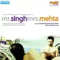 Mr. Singh Mrs. Mehta 2010 cover image