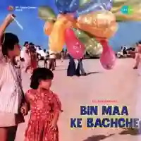 Bin Maa Ke Bachche 1980 cover image