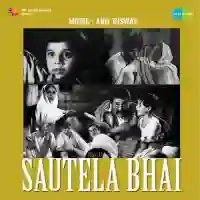 Sautela Bhai 1962 cover image