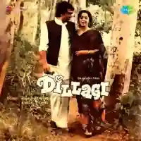 Dillagi 1978 cover image