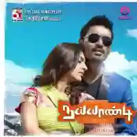 Naiyaandi 2013 cover image