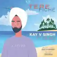 Tere Piche (feat. Dilraj) - Kay V Singh 2022 cover image