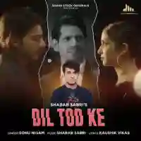 Dil Tod Ke - Sonu Nigam 2022 cover image