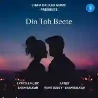 Din Toh Beete - Sham Balkar cover image