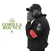 The Gorilla Bounce 2021 cover image