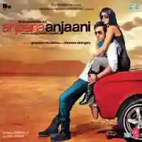 Anjaana Anjaani 2010 cover image