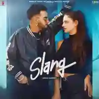 Slang - Mani Longia 2022 cover image