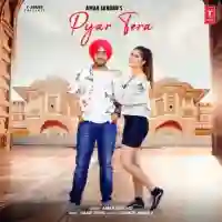 Pyar Tera - Amar Sandhu 2021 cover image