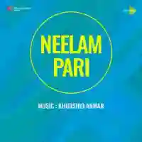 Neelam Pari 1952 cover image