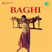 Baghi 1953 cover image