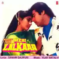 Meri Lalkaar 1990 cover image